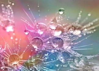 Énergies intenses, fin de cycle & renouveau